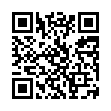 轻量BT下载qBittorrent v5.2.1增强便携版-趣奇资源网-第11张图片